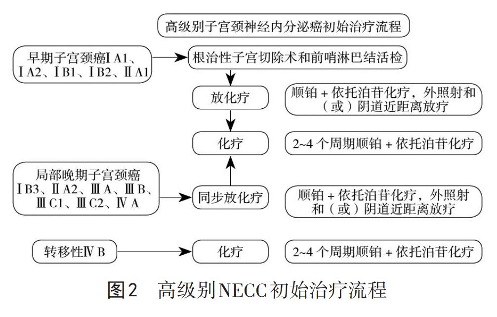 宫颈癌派特生物,派特生物治疗图片