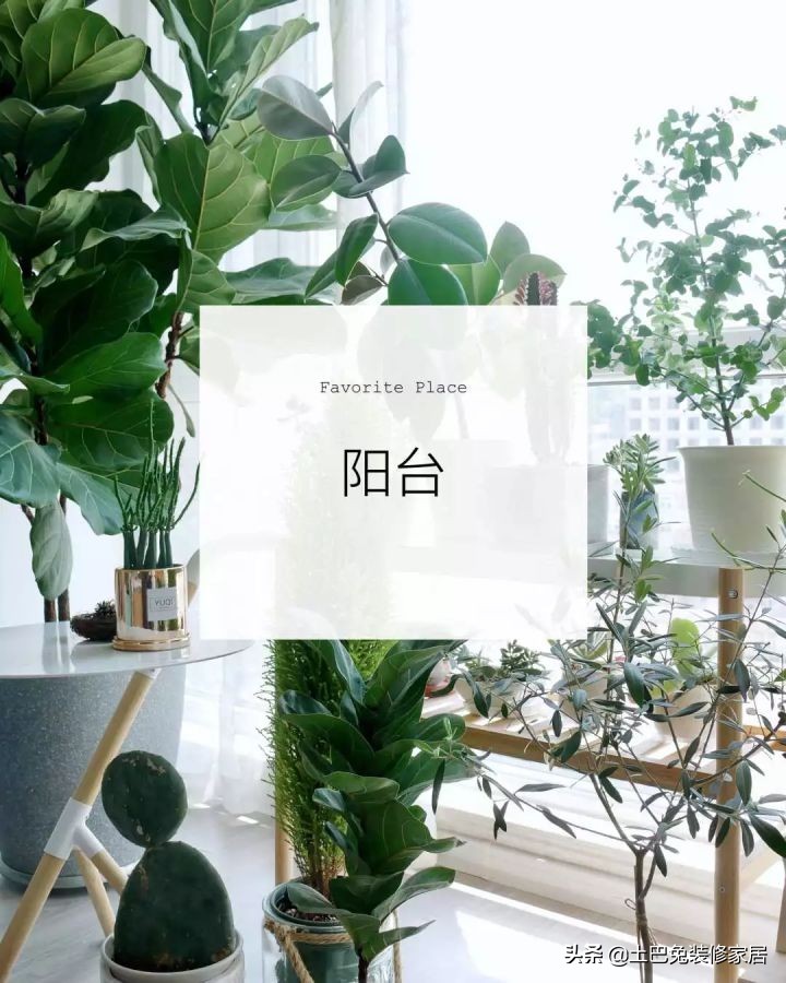 适合小夫妻住的两室一厅,90后小夫妻住30平米的房间吃什么