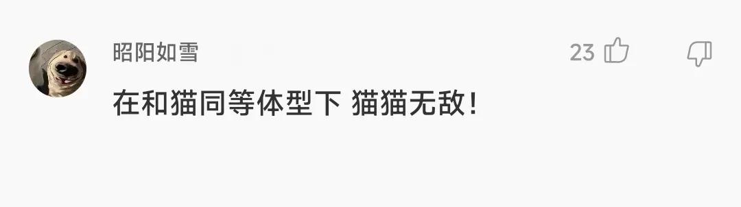 吸血鬼真正的进食方式,海底的吸血鬼进食