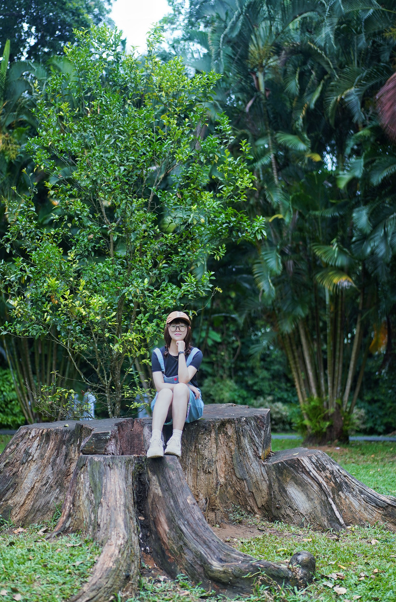 斯里兰卡旅游攻略必去景点,斯里兰卡旅游攻略最佳时间