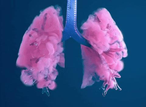 阳康后气短怎么办,阳康后呼吸不畅憋闷气短