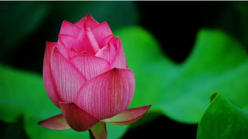 别人送你这2样东西万万不能要,别人送你旧东西时要注意什么