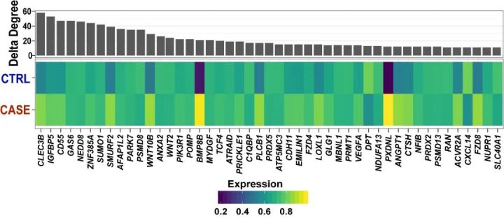 发现|继发性淋巴水肿的潜在治疗靶点及药物