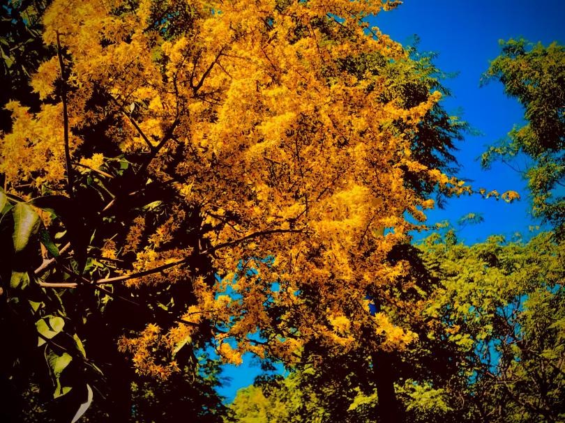 山中医er的“小确幸”