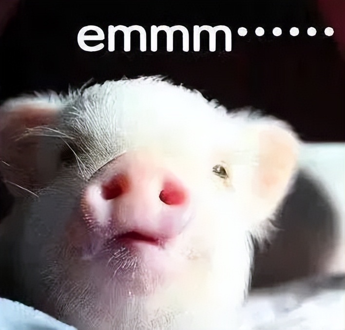 赌石行业里的套路,直播赌石有什么套路