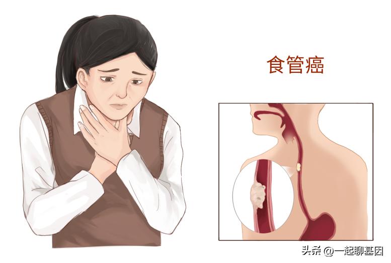 食物到底要不要趁热吃,食物趁热吃真的对吗有什么危害