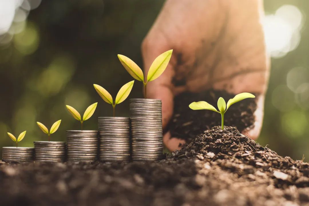 新能源十大妖股,新能源当年最大妖股