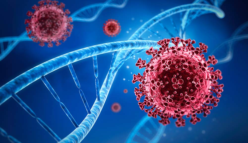 狂犬病和新冠变异,新冠狂犬病