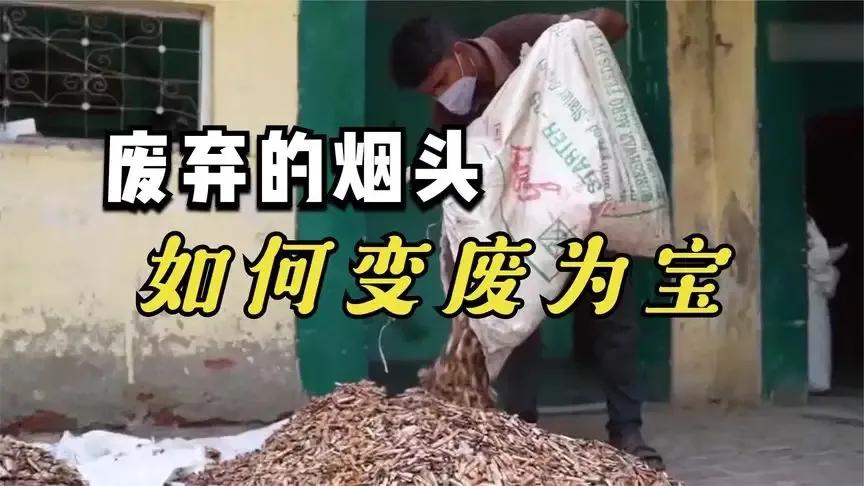 回收烟头是干嘛的,回收烟头是合法的吗