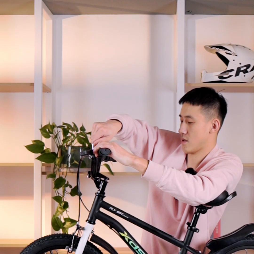 喜德盛电助力脚踏车,喜德盛脚踏车