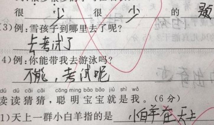 超懒小学生,最懒小学生作业走红