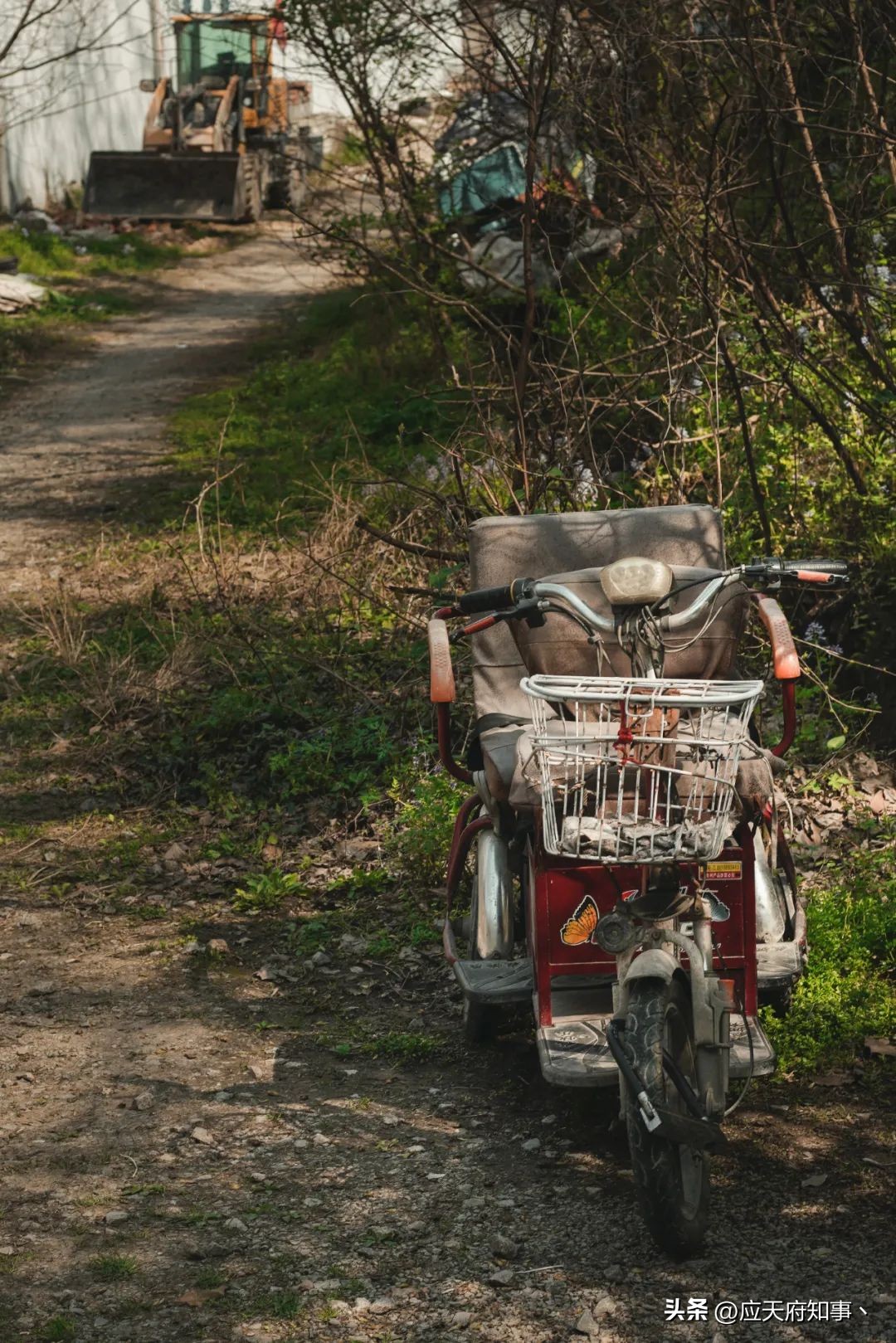 南京燕子矶滨江公园,南京燕子矶是哪个区