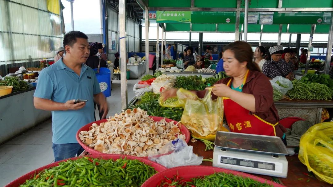 野生菌虽美味尝鲜需谨慎,绿春人