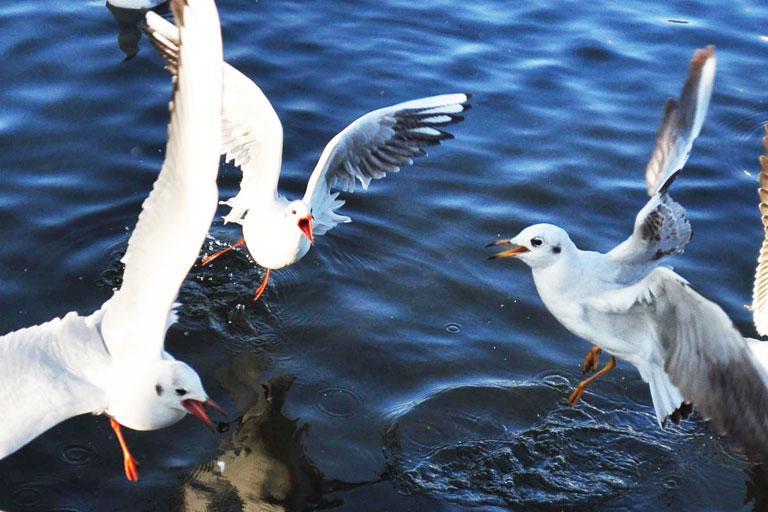 昆明旅游攻略绝美景点有哪些,昆明旅游攻略景点推荐理由大全图