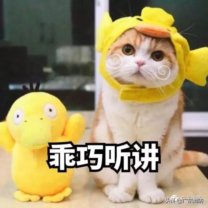 机舱内出现浓烟返航西藏航空回应,机舱内出现浓烟返航