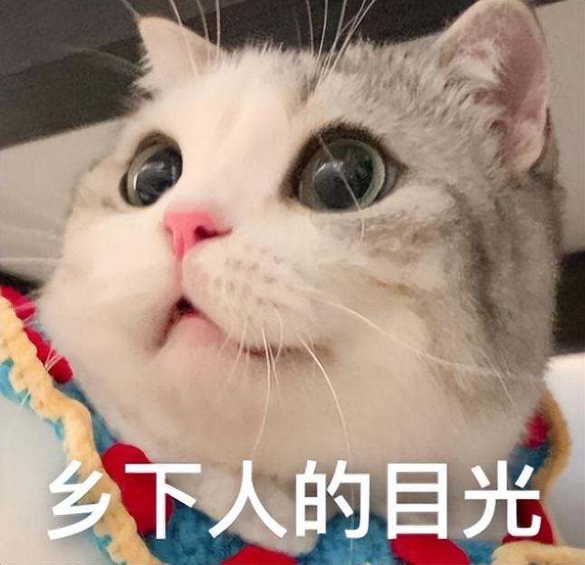 Gucci宠物单品曝光,捡屎包亮了