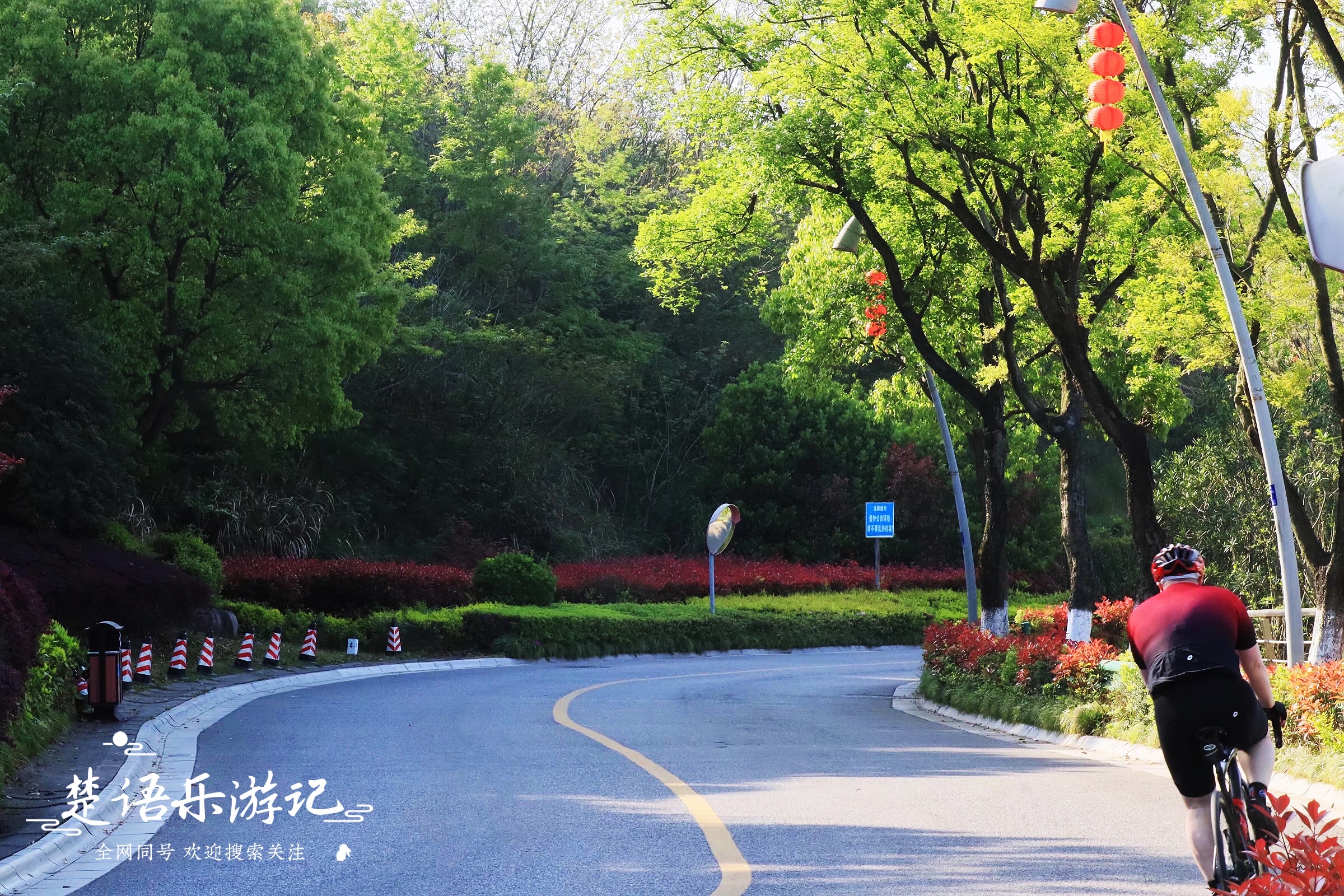 宁波这个网红景点不仅有花海，原来还是露营胜地，湖光山色美如画