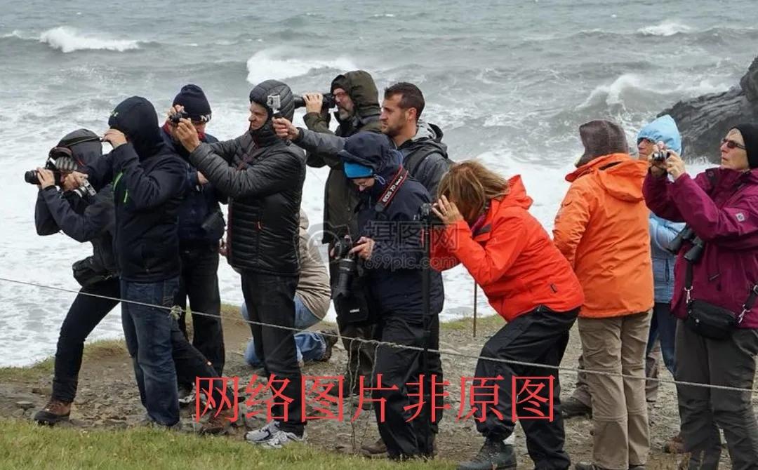 禁止礼花弹违法吗,礼花弹很危险吗