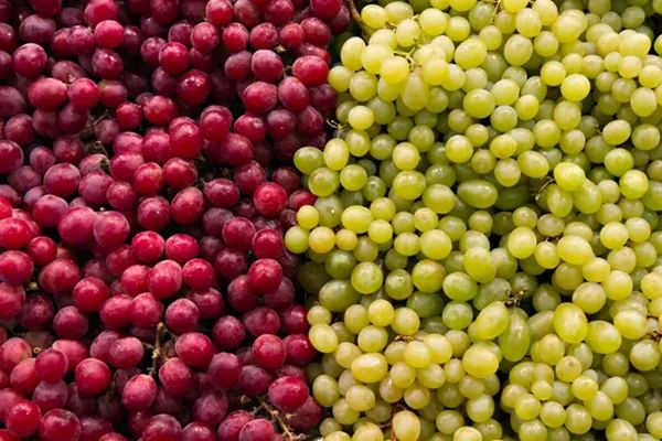 加拿大蔬菜为什么那么贵,加拿大夏天太短暂