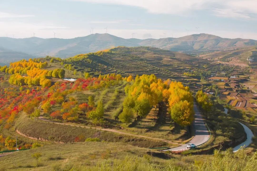 深秋等你到来,深秋等你来