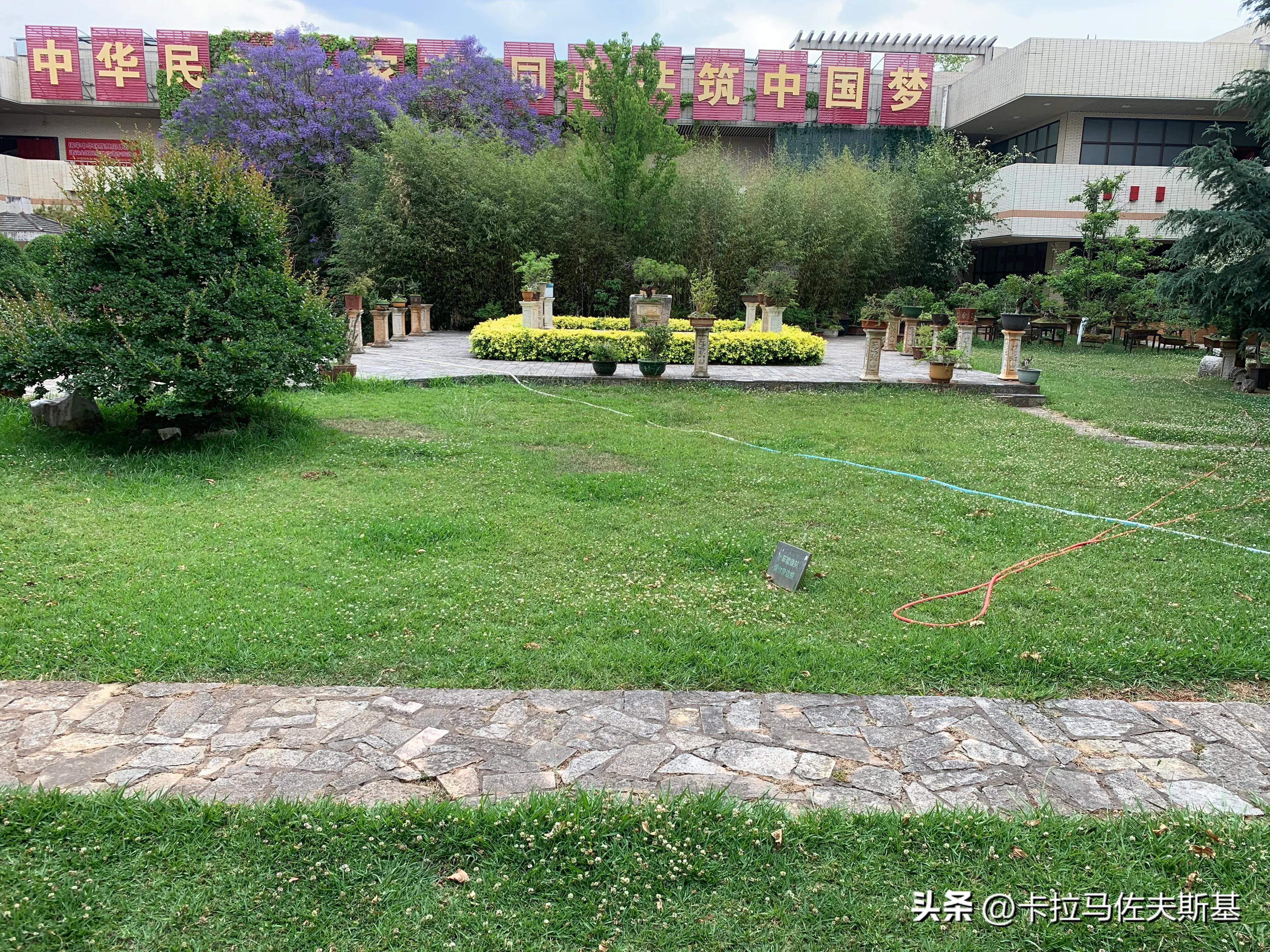 为什么要去云南腾冲芒市瑞丽旅游,芒市瑞丽腾冲旅游五一