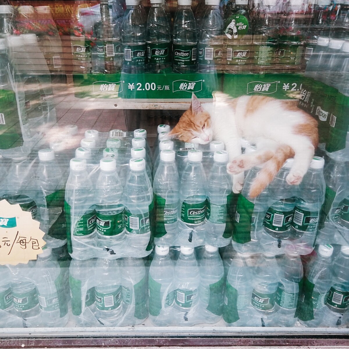 为什么说卖水是暴利呢,卖水暴利成功案例