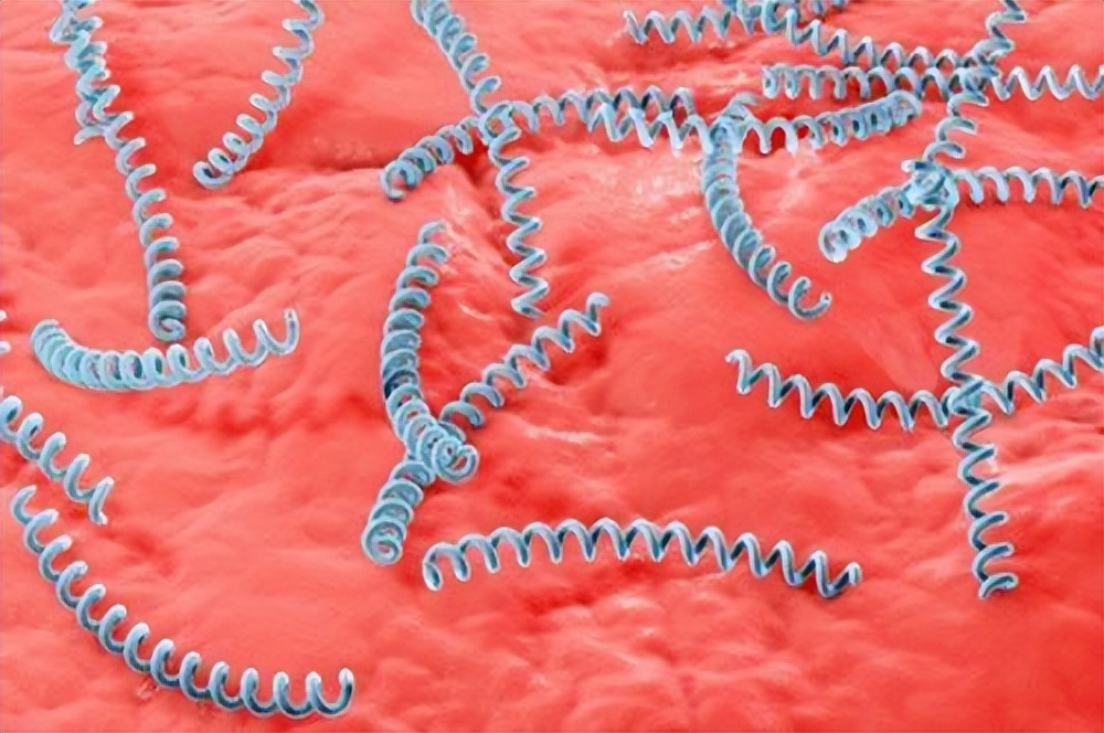 六类疾病可以通过性传播，医生劝告：思想开放的人，别胡作非为！