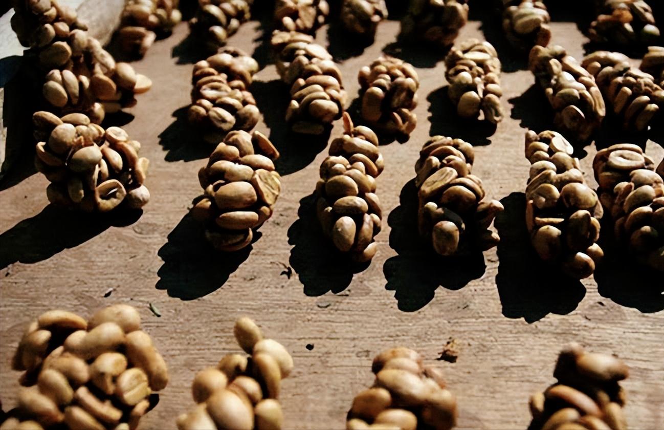 猫屎咖啡商品,猫屎咖啡是什么牌子