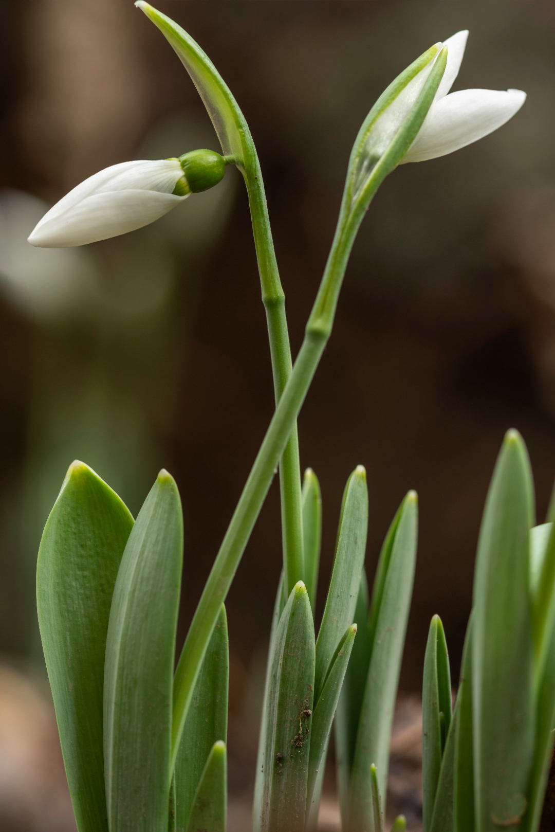 健康手册必读,员工好书推荐合集
