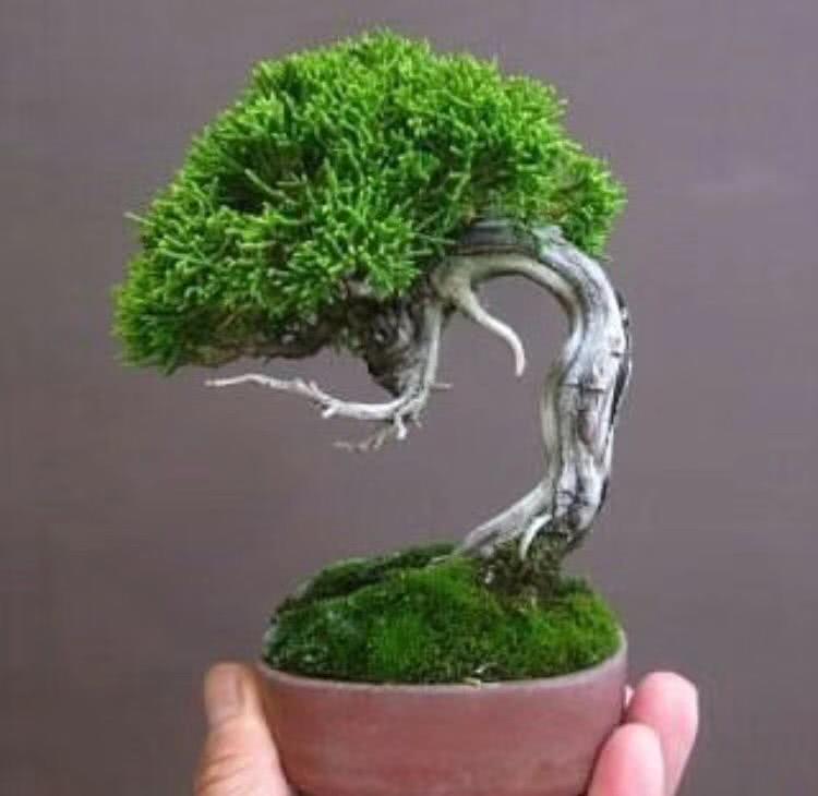 男子上山采药意外采到红石,农村小伙上山摘野果不小心摔倒了