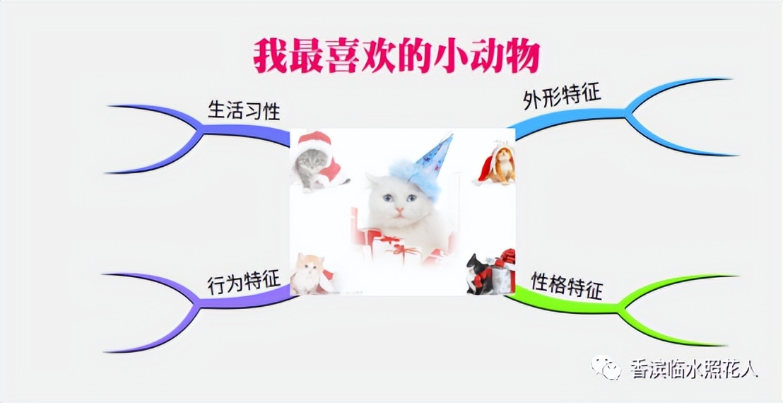 五年级第一单元我的心爱之物书,我的心爱之物小熊笔袋作文五年级