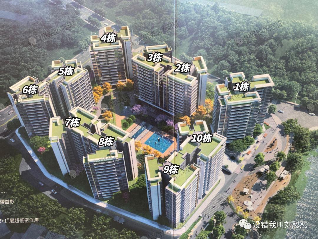 家里有一家奶茶店是什么体验,奶茶店能买到房子吗