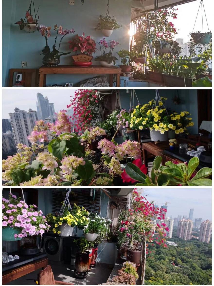 很多人羡慕的阳台,让别人羡慕的阳台