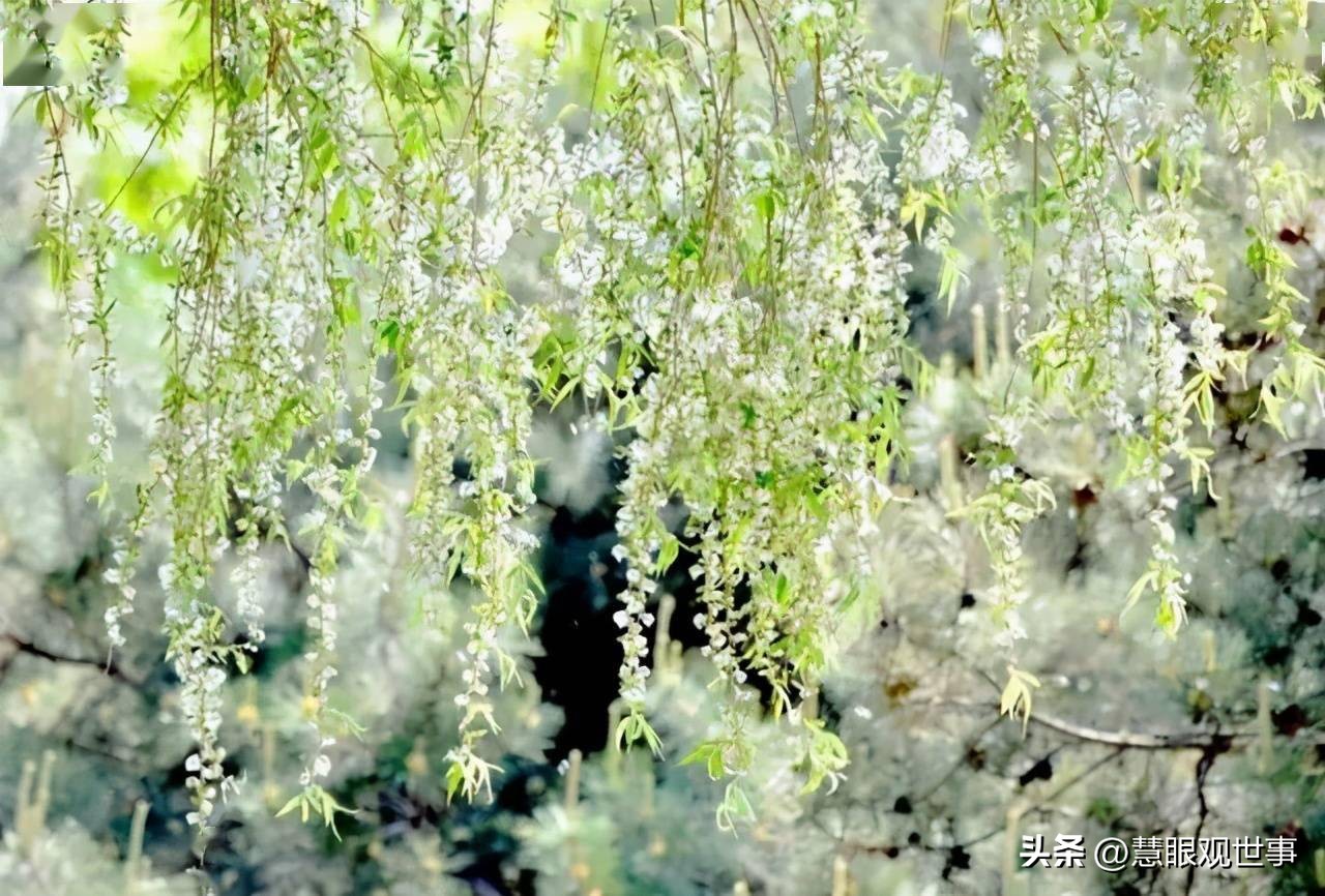 自然现象的古诗词,学生必背古诗词41到60句