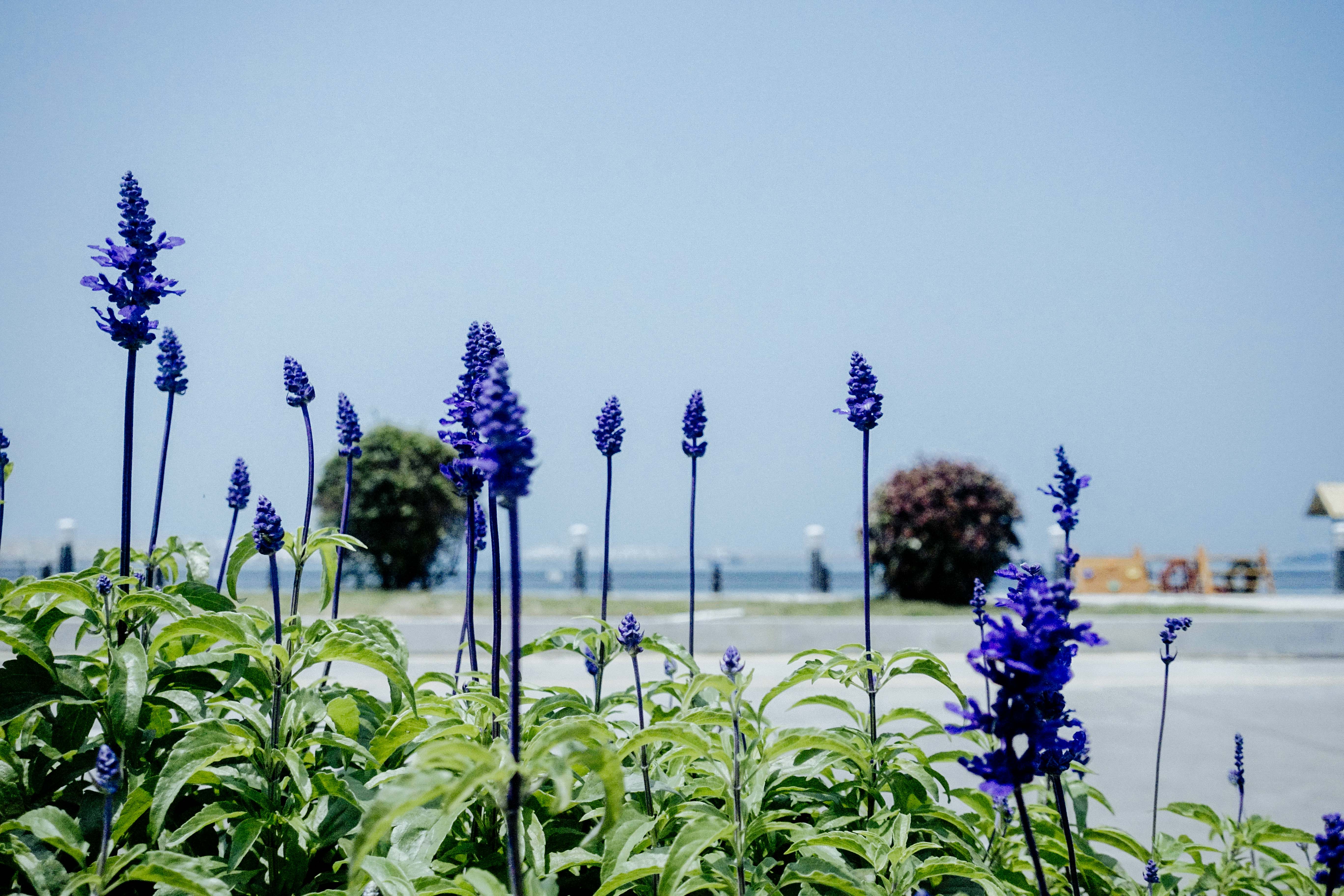珠海海岛游最合适时间,珠海有什么海岛一日游最佳路线