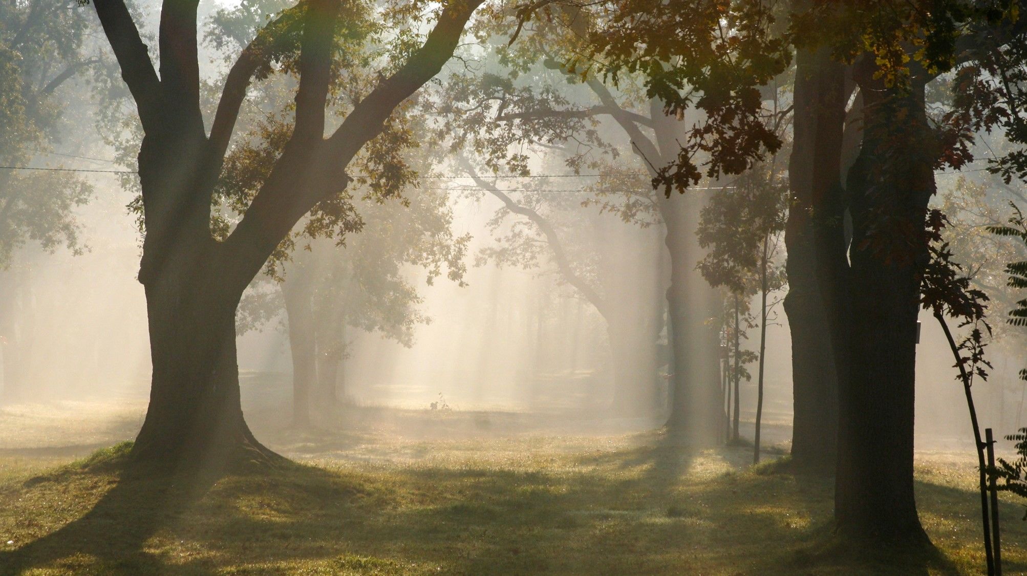 ChatGPT神仙？妖怪？谢谢！