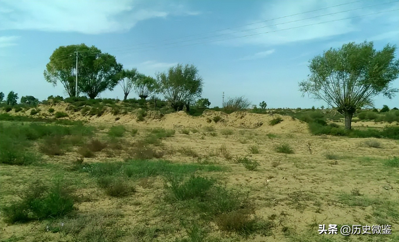 19岁女孩被迫嫁到荒漠,19岁女孩被迫嫁到荒漠下集