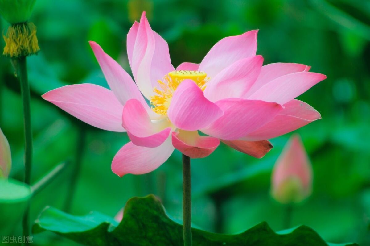 用护肤品皮肤有刺痛感怎么回事,换护肤品后皮肤有刺痛感