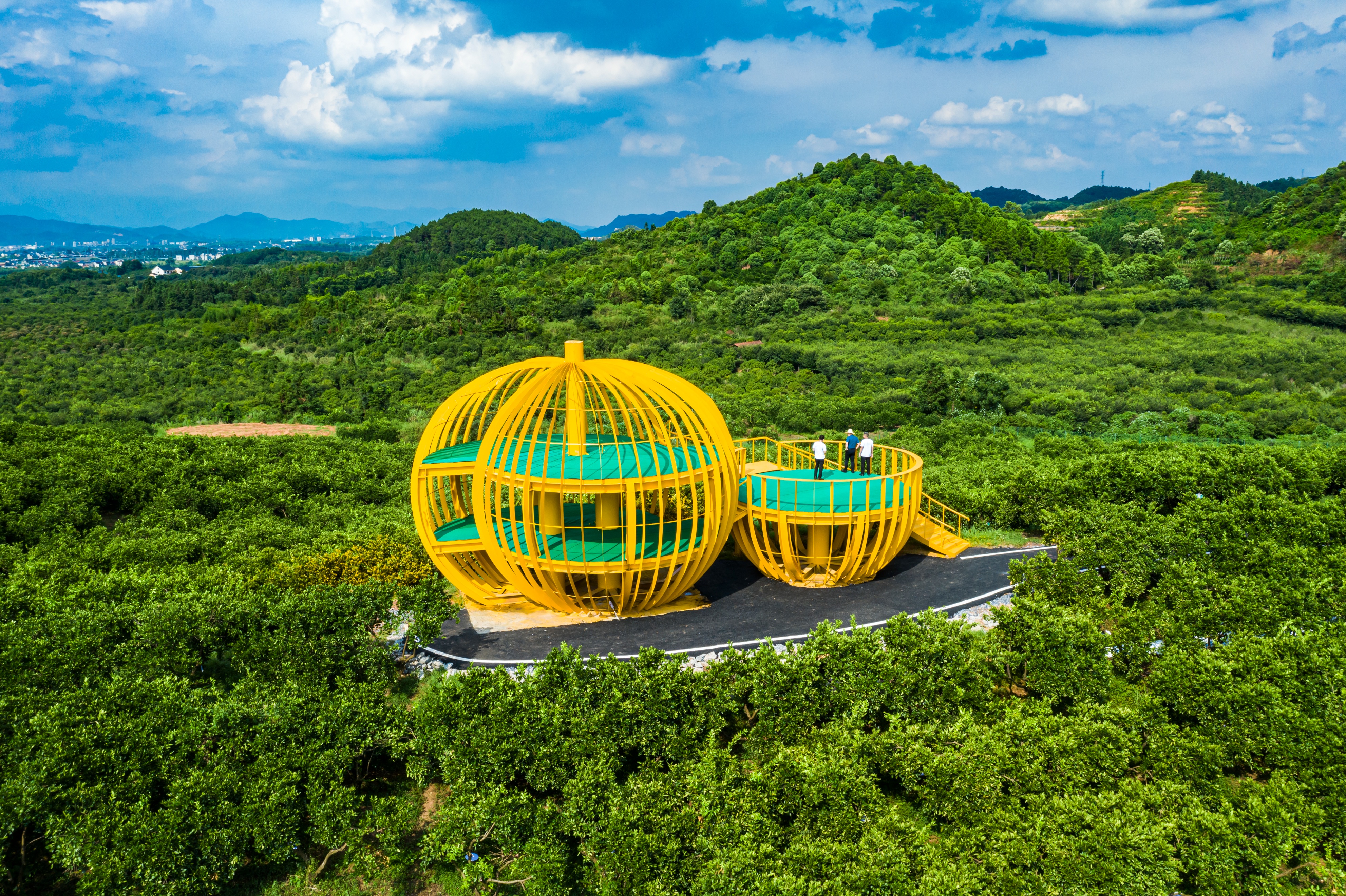 反映中国农村向城市变迁的纪录片,中国农村改革40年纪录片