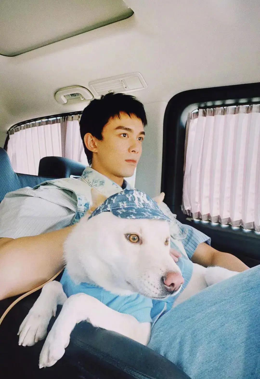 校草脸男星图鉴,男校草图片帅气