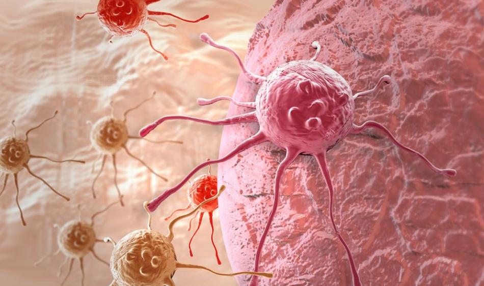 绝经后又来月经是癌变的前兆吗,绝经几年忽然又来了点月经