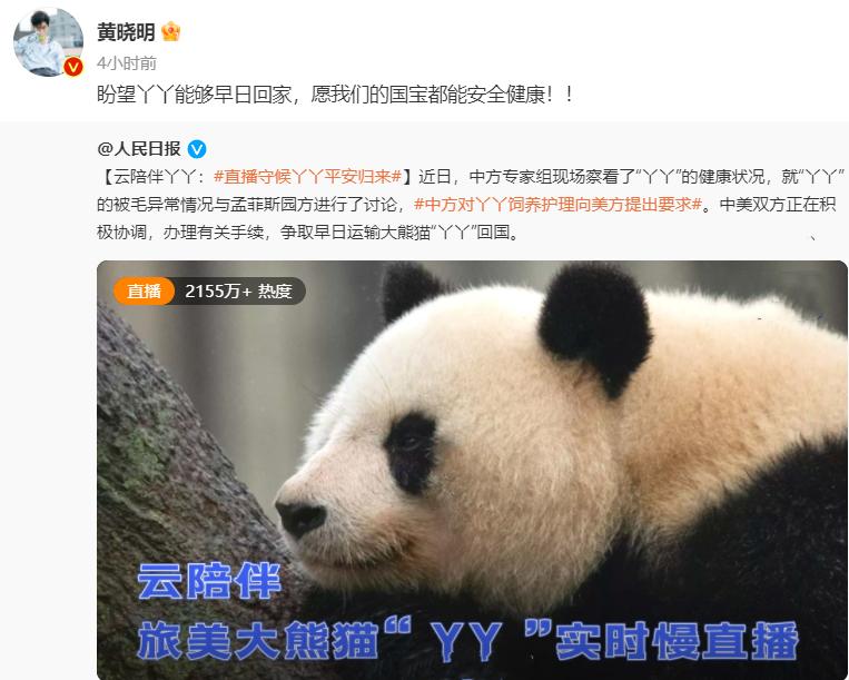 多位明星为国宝丫丫发声！黄晓明惹争议，身为熊猫大使出面太晚