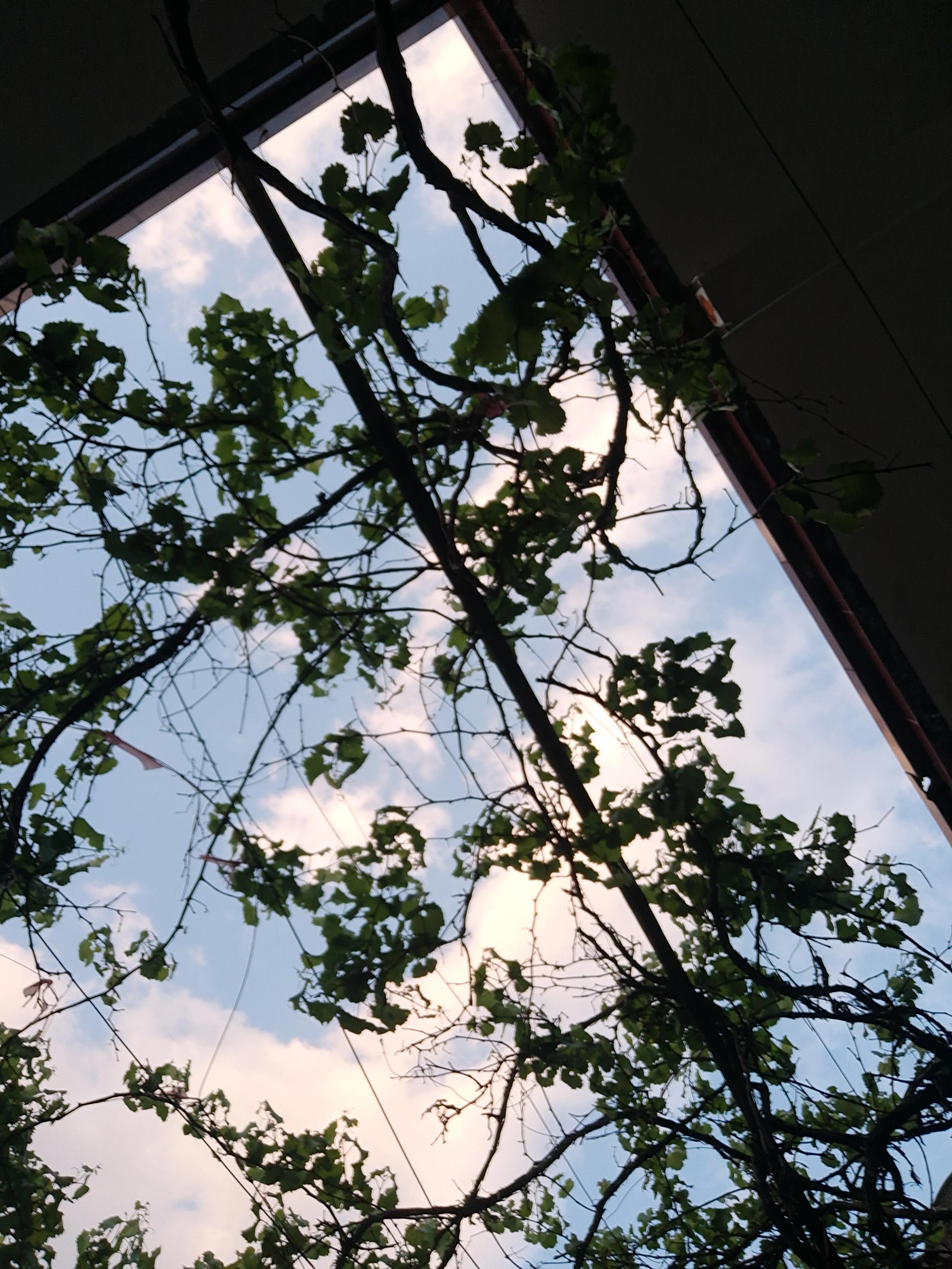 遇到毁三观的奇葩事件,盘点那些毁三观的奇葩问题