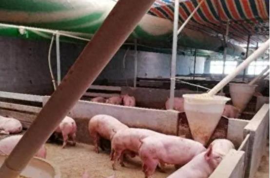 炒肉粘锅的原因,炒猪肉粘锅怎么处理