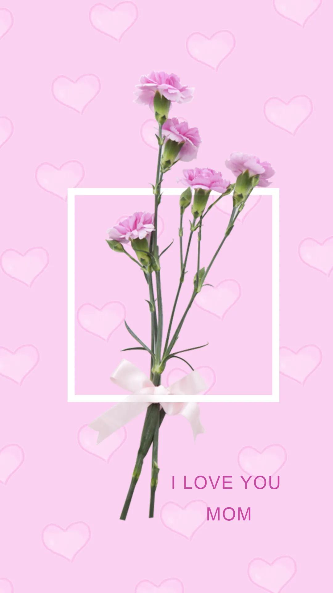 康乃馨花束壁纸,康乃馨壁纸手机超清全面屏