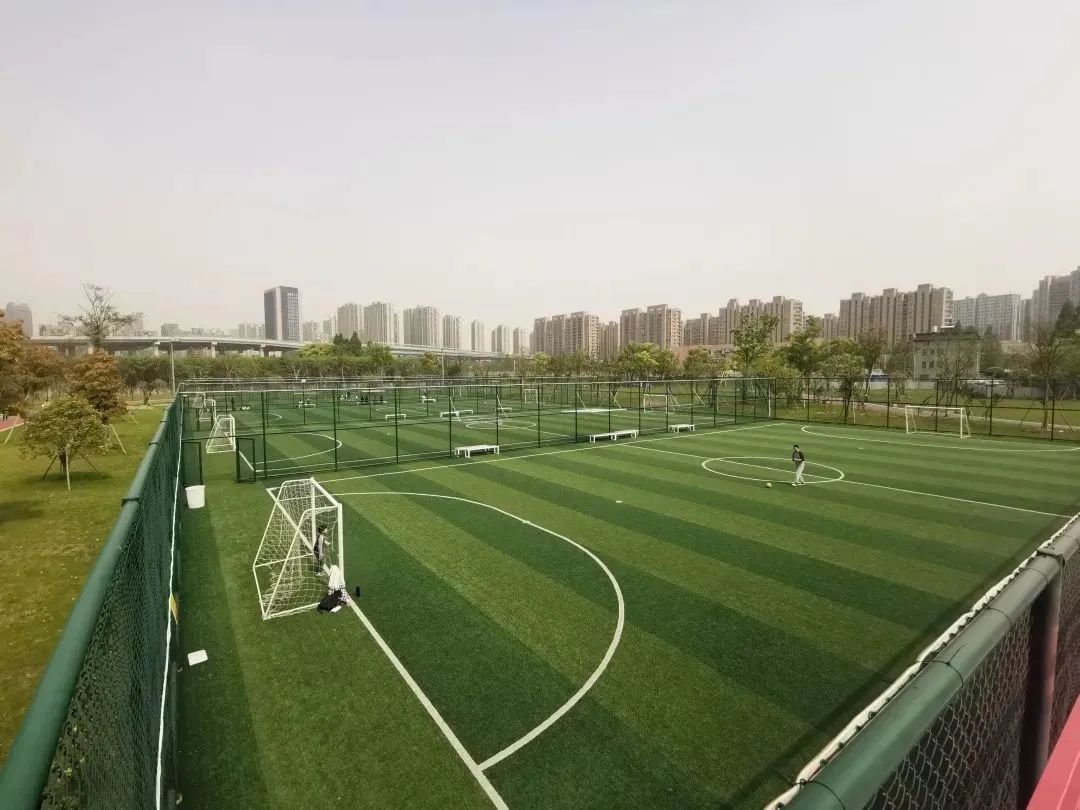 杭州临平粉黛乱子草花海地址,杭州临平30余亩粉黛花海梦幻上线