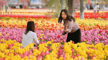 五家渠旅游路线,五家渠攻略