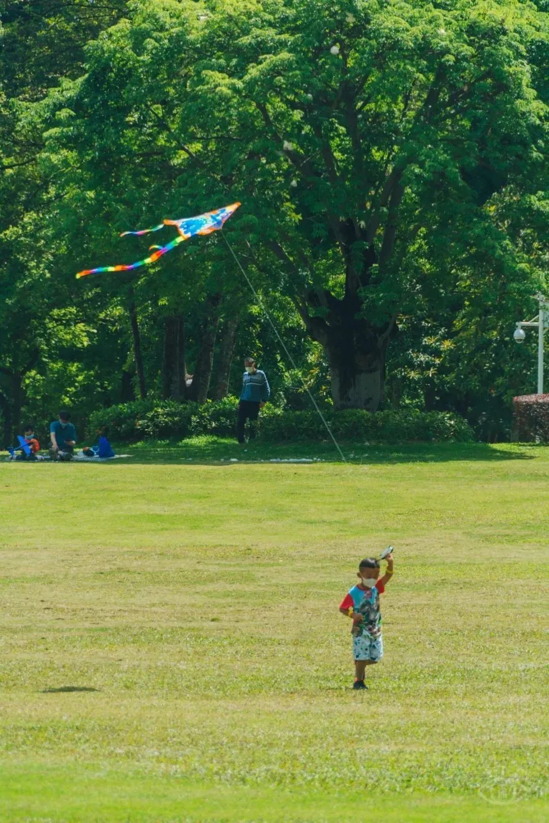 深圳地铁五号线十号线游玩地点,深圳地铁12号线最新最全线路图