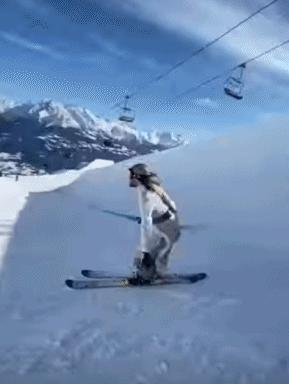 冬奥张国伟比赛视频,张国伟奥运搞笑