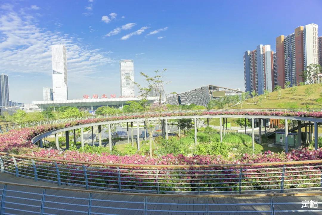 雨林打卡网红地滑梯,深圳哪里有超大型滑梯